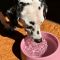 Миска зі 100% переробленого пластику для собак Beco Pets Steady Bowls Рожевий L