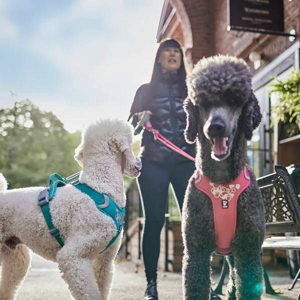 Шлейка для собак пом'якшена Hurtta Weekend Warrior 100-120 см Бірюзовий