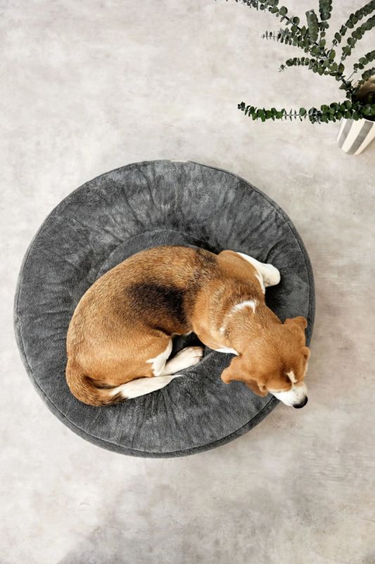 Лежак для собак Palopa Donut Fippa Сірий M-L