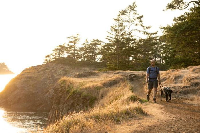 Повсякденна шлейка для собак Ruffwear Front Range® XS 43-56 см Зелений