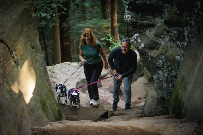 Полегшена шлейка для собак Ruffwear Hi & Light™ XXS 33-43 см Малиновий