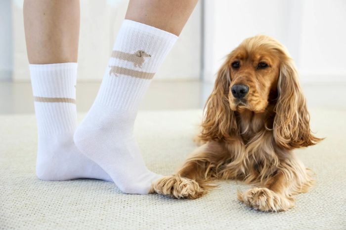 Шкарпетки для власників собак Palopa Tennis Socks Long Badger Dog 35-40