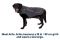 Куртка для собак Ruffwear Overcoat Fuse™ XL Сірий