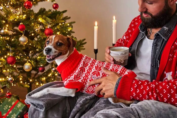 В'язаний светр для собаки Wolters Thore 25 см Червоний