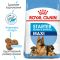Royal Canin Maxi Starter (Роял Канін Максі Стартер) 1 кг