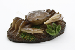 Краб міні (з підключенням до компресора) 