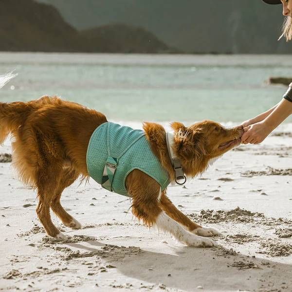 Охолоджуючий жилет для собак Hurtta Cooling Wrap 85-95 см Блакитний