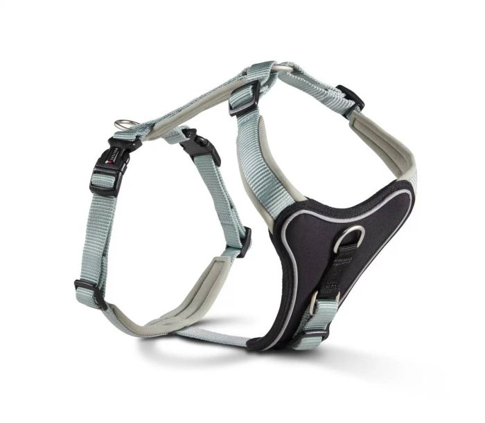 Шлейка для собак пом'якшена Wolters Professional Comfort -1 27-32 см / 15 мм Зелений