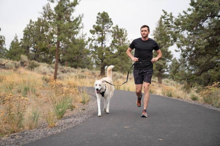 Повідець перестібка для собак Ruffwear Switchbak™ Сірий