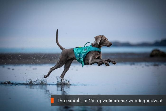 Рятувальний жилет для собак Protector life jacket Non-stop dogwear Бірюзовий 6