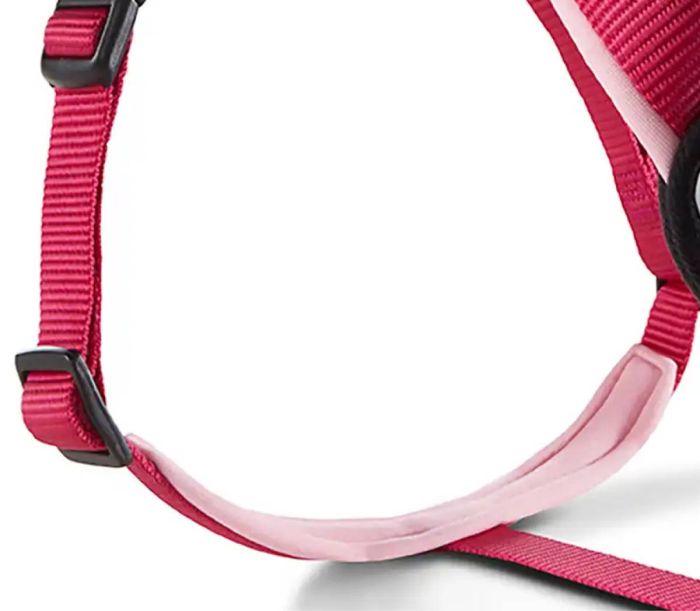 Шлейка для собак пом'якшена Wolters Professional Comfort 2A 45-50 см / 25 мм Малиновий