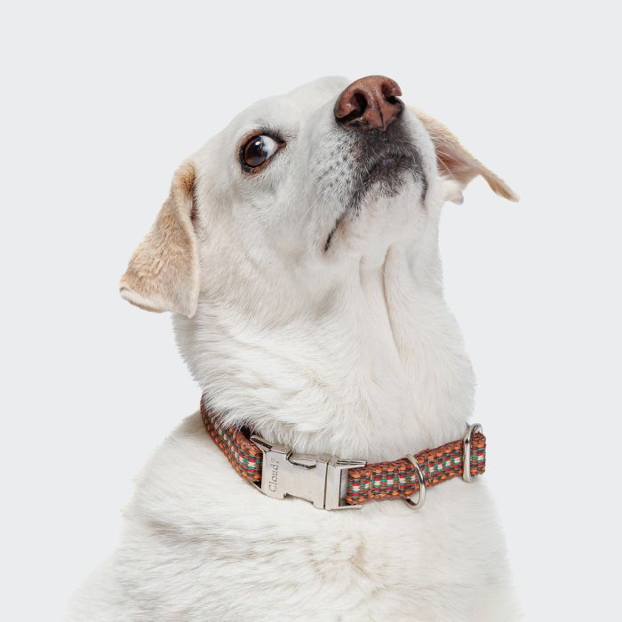 Нашийник для собак Cloud7 Prater Коричневий XS