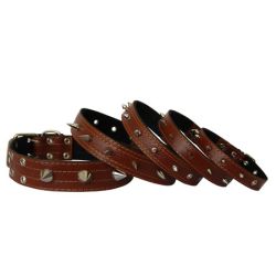 Нашийник для собак з шипами, коричневий 37-51 см