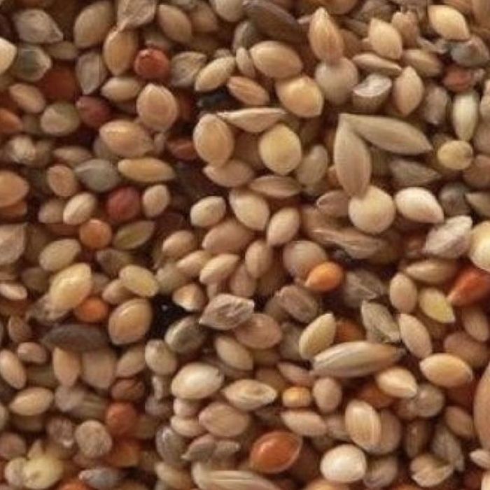 Чумиза для птахів зерно 150 г 