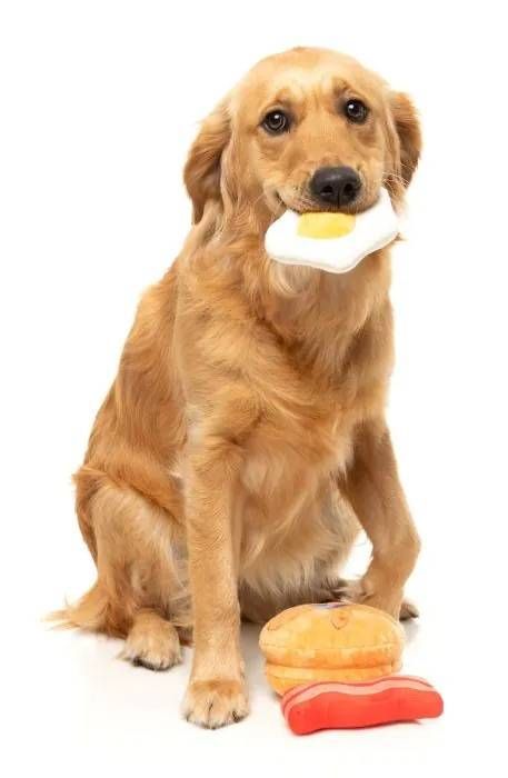 Набір м'яких іграшок для собак FuzzYard Собачий сніданок