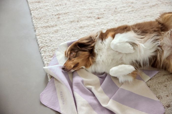 Плед для собак Palopa Ida M Рожево-фіолетова смужка