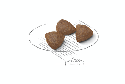 Royal Canin (Роял Канін) Medium Starter 12 кг