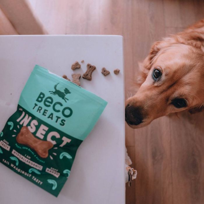 Гіпоалергенне печиво для собак Beco Pets Комаха з яблуком і насінням чіа 70 г