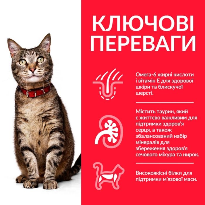 Hills (Хіллс) SP Feline Adult Chicken - Сухий корм для кішок з куркою 1,5 кг