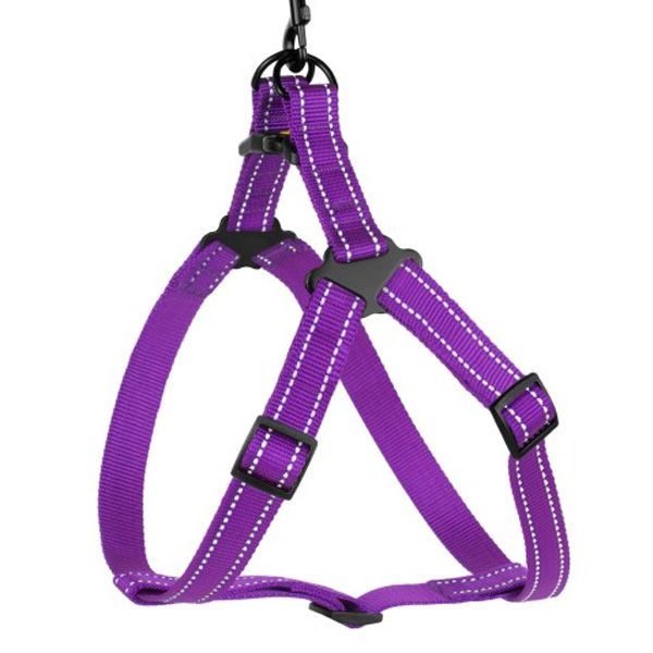 Шлея капронова світловідбиваюча фіолетова ширина 25мм  Обхват грудей 58-71см