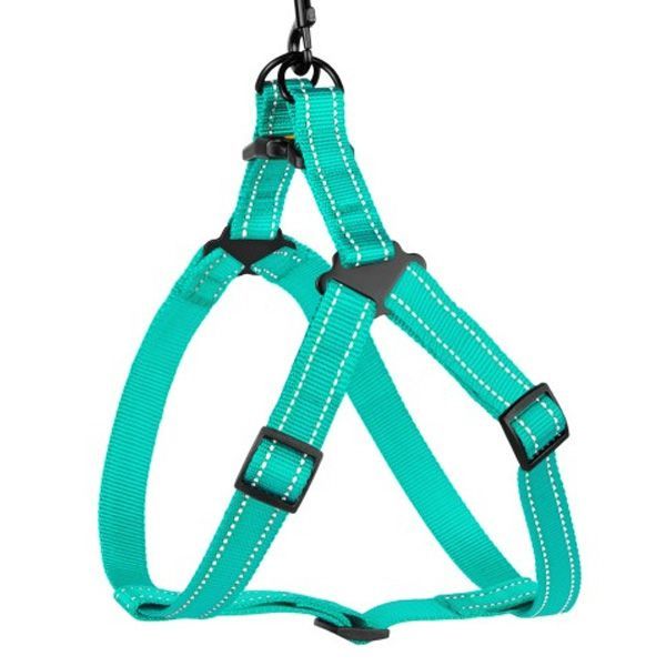 Шлея капронова світловідбиваюча колір ментол 16мм (40-53см)