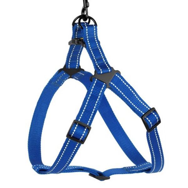 Шлея капронова світловідбиваюча синя 16мм (40-53см)