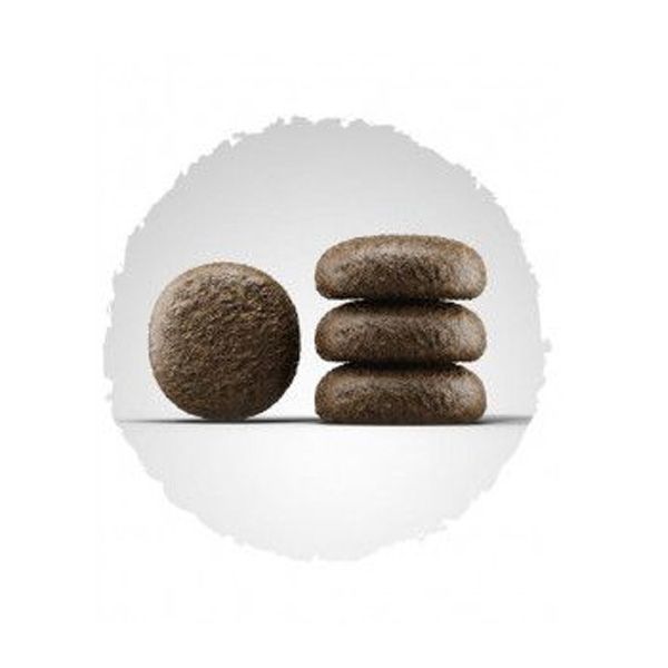 Josera Festival сухий корм для собак із чутливим травленням 12,5 кг