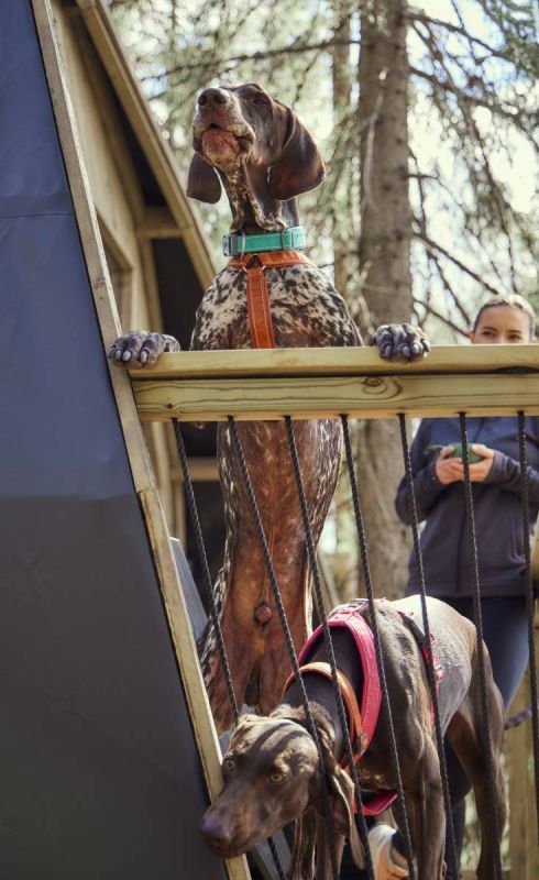 Нашийник для собак Hurtta Casual ECO 20-30 Бірюзовий