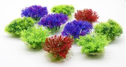 Набір рослин для акваріуму, 10х10х4 см (10 шт) 