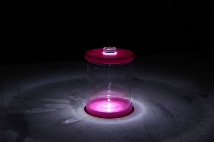 Стакан акваріум овальний з підсвічуванням 10 х 13 см 