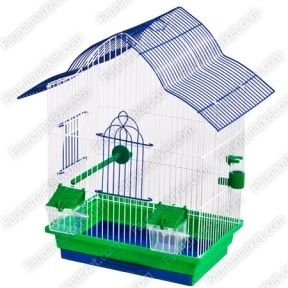 Клітка Лорі Мальва фарба 