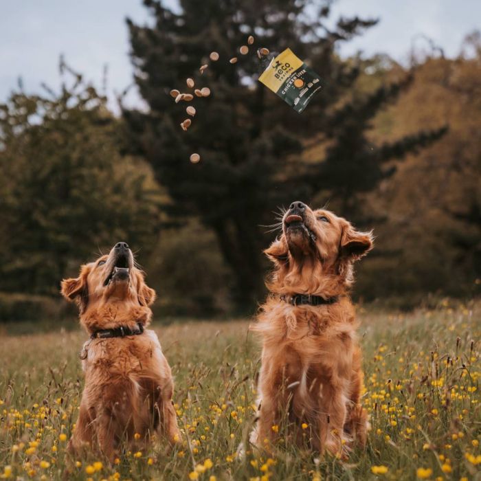 Печиво для собак Beco Pets Арахіс з кокосом і куркумою 70 г (рослинний білок)