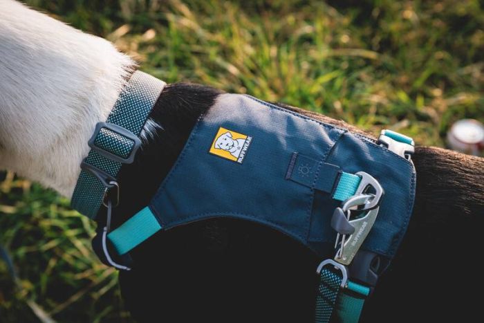 Полегшений нашийник для собак Ruffwear Hi & Light™ 51-66 см Сірий