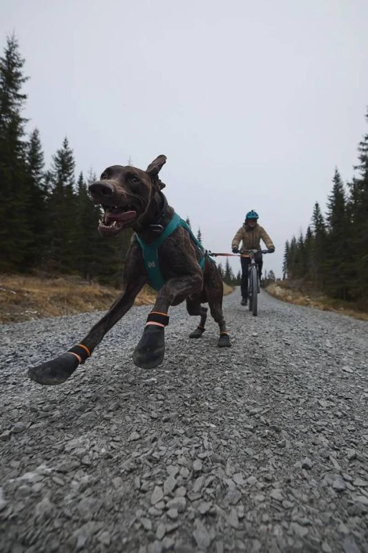 Черевики для собак Protector bootie Non-stop dogwear Чорний/Помаранчевий S 4 Шт.