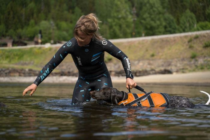 Рятувальний жилет для собак Safe life jacket 2.0 Non-stop dogwear Помаранчевий 4