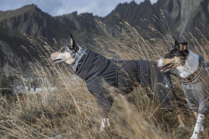 Теплий комбінезон для собак Hurtta Extreme Overall 35S Сірий