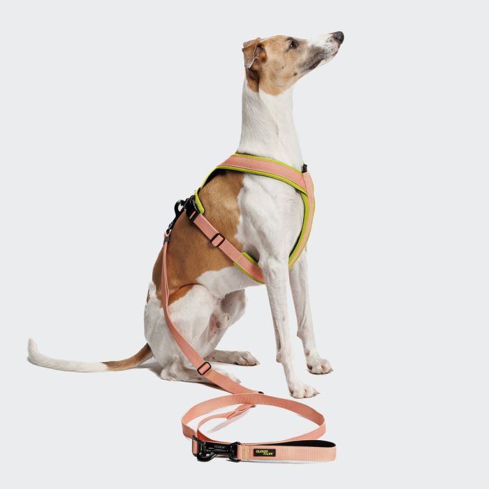 Повідець вільні руки для собак Cloud7 L-1- Hands-Free-Leash AKTIV Персиковий S