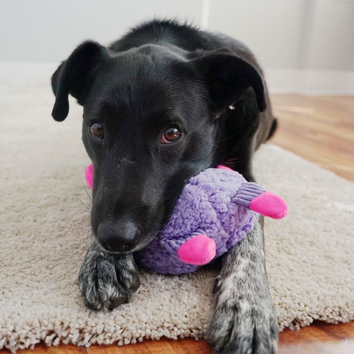 Іграшка для собак Kong Sherps Floofs Big Horn M