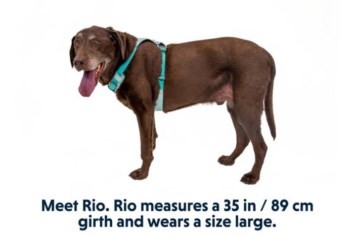 Полегшена шлейка для собак Ruffwear Hi & Light™ S 56-69 см Зелений