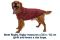 Светр для собак Ruffwear Hemp Hound™ M Червоний