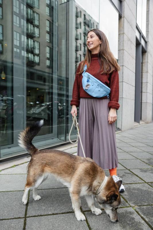 Поясна сумка-бананка для ласощів та аксесуарів собак Palopa Emma Світло-блакитний