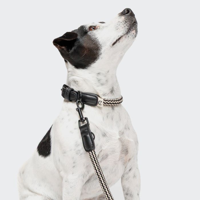 Нашийник для собак Cloud7 Mauerpark Чорний XXL