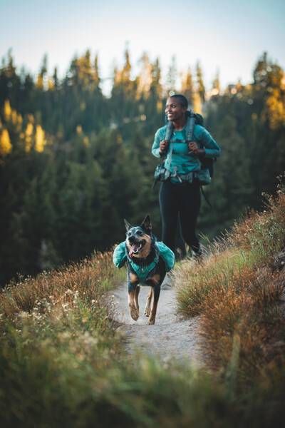 Шлейка-рюкзак для собак Ruffwear Front Range™ L/XL Зелений