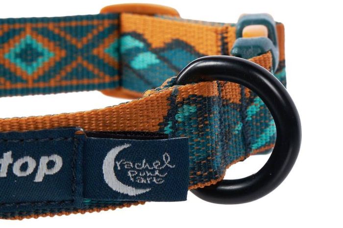Нашийник для собак Trail quest collar RP signature edition Non-stop dogwear Бірюзовий/Дуб L
