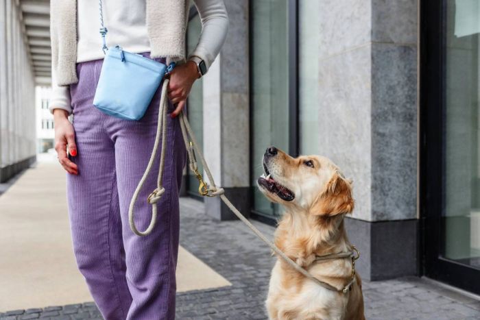 Сумка для ласощів і аксесуарів собак Palopa Karl M Світло-блакитний