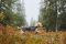 Куртка для собак Trail light Non-stop dogwear Сірий 70