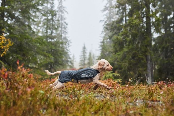 Куртка для собак Trail light Non-stop dogwear Сірий 70