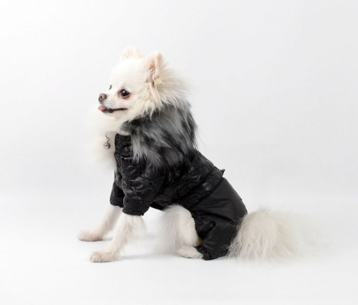 Комбінезон Лагерфельд стьобана плащівка на силіконі (хлопчик) S3