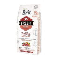 Brit Fresh Beef Pumpkin Puppy Large Сухой корм для щенков крупних пород с говядиной и тиквой, 12 кг 