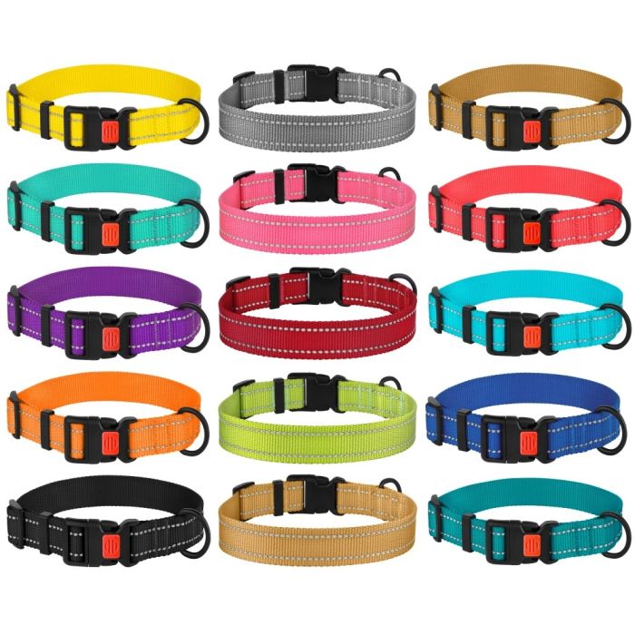 Нашийник для собак BronzeDog Блакитний пластиковий фастекс 1222 50Т 25мм (35-53см)